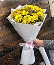 Букет цветов из:  Хризантемы #REPLACE_PRED# Судогде